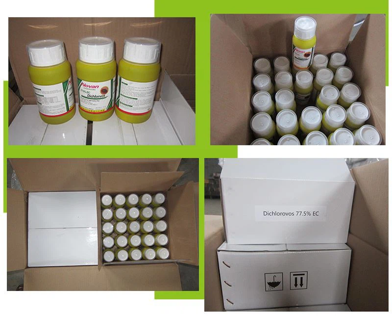 Dichlorvos 95% EC