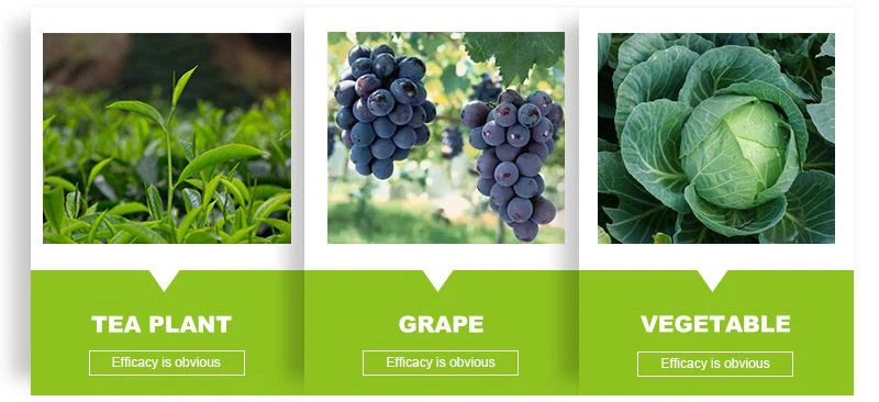 DDVP 95% EC on plant