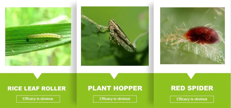 Chlorpyrifos on pest Chlorpyrifos on pest