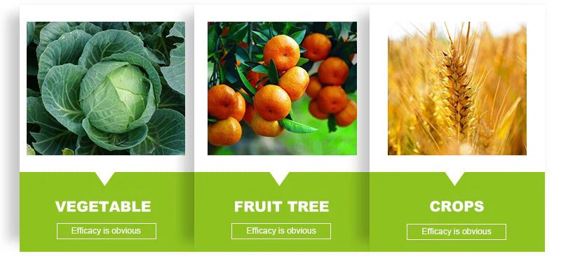 Chlorpyrifos on plant Chlorpyrifos on plant