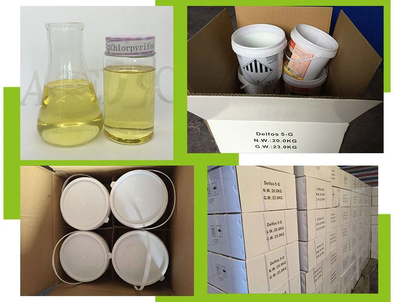 Chlorpyrifos Chlorpyrifos