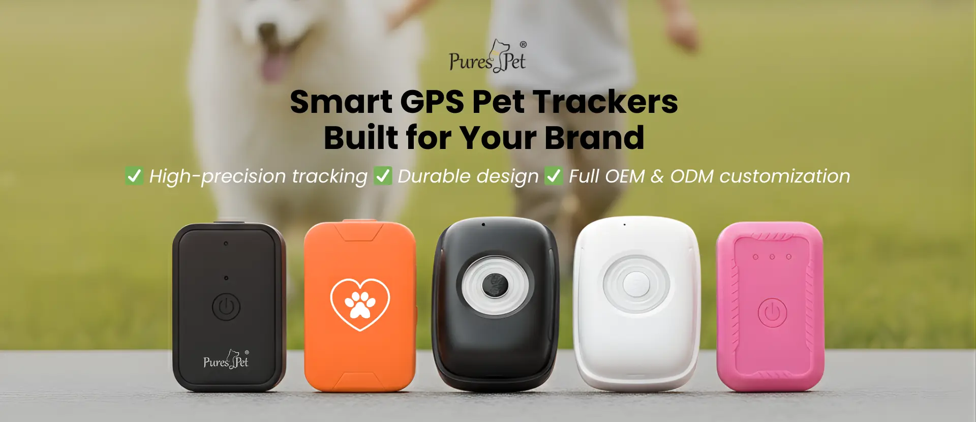 10 Best GPS Dog Collar Brands In The Worlds 1