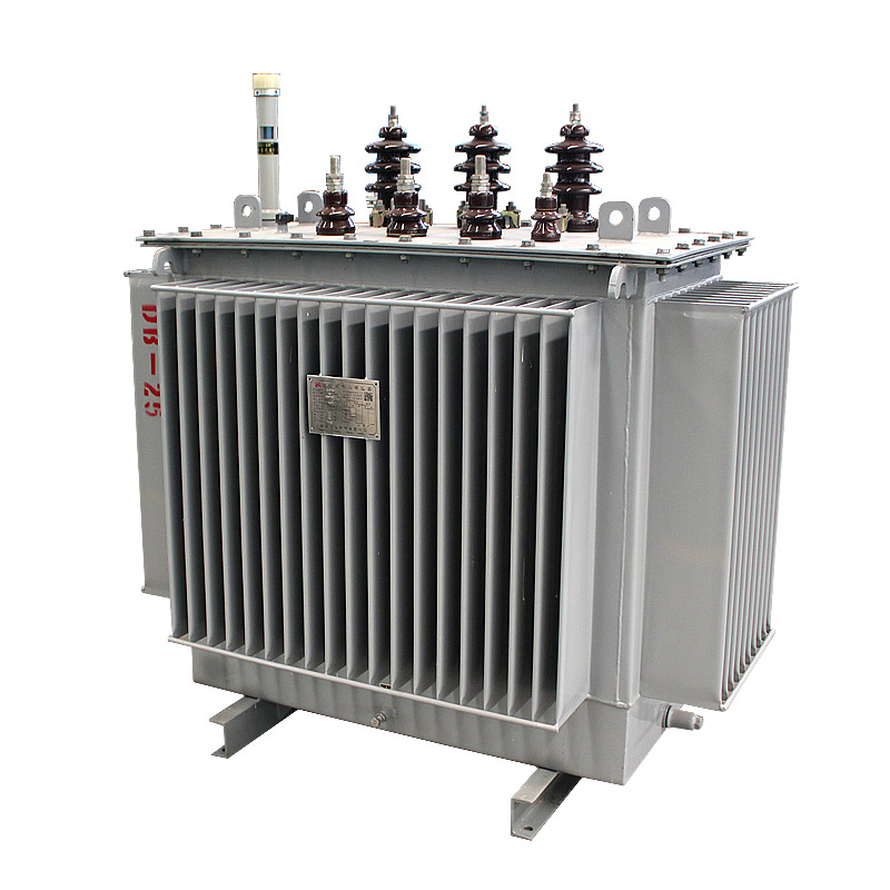 Oil Immersed Power Distribution Transformer 30kva-100mva 220v-220kv 8