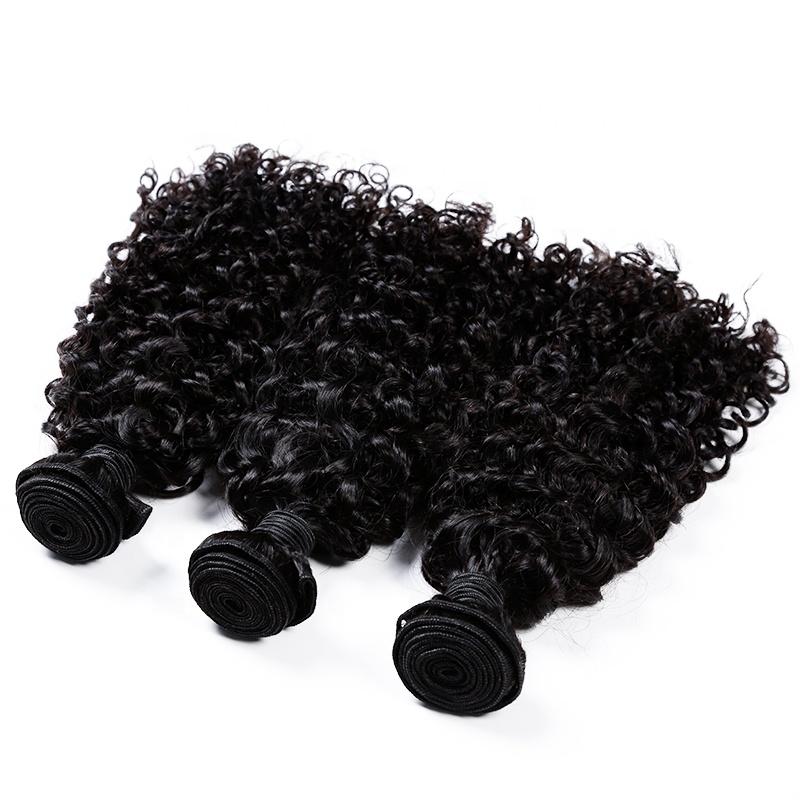 Single Donor  Virgin Hair Burmese Raw Curly Hair Bundle Free Logo Service Drop Shipping Wholesale Hair Vendor 10