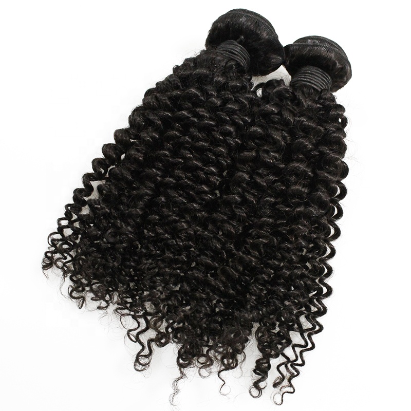Wholesale Cuticle Aligned Hair Vendors Russian Kinky Curly  Raw Virgin hair bundles 8