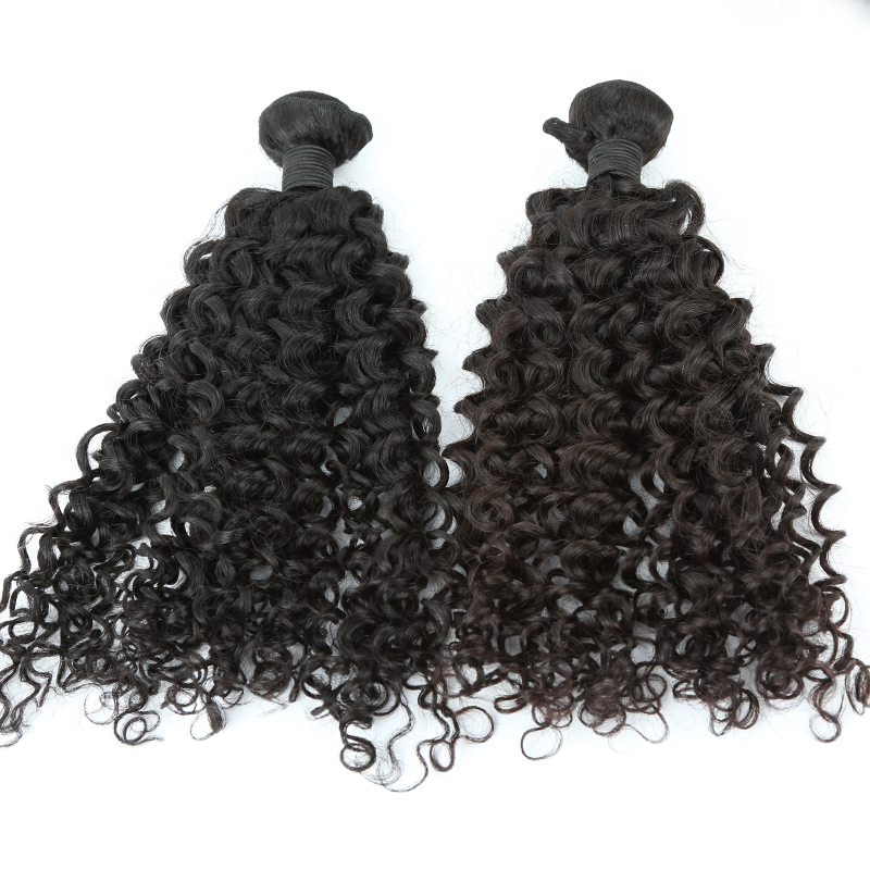 9a 10a curly raw indian hair bundle 9