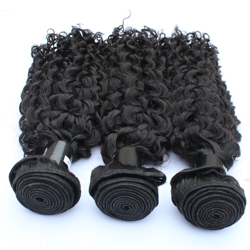 Top Selling Curly Raw Unprocessed 100% Brazilian Remy Hair Cuticle Aligned Hair Extension Hair Bundles 10