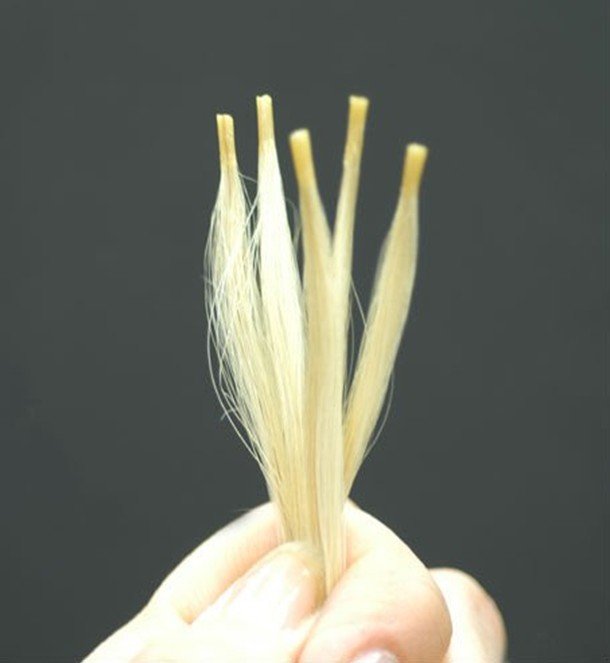Wholesale Double Drawn Prebonded  Italian Keratin Human Hair U tip/Flat tip/I tip Hair Extensions 7