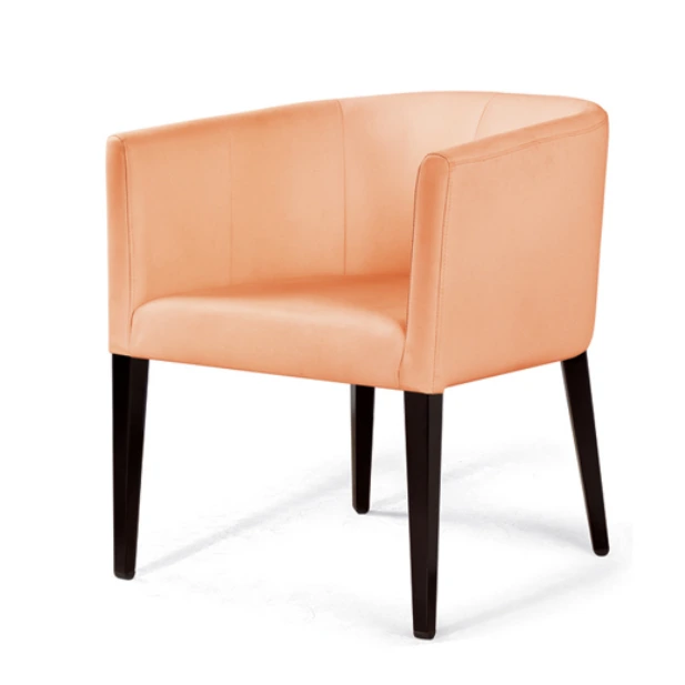 TEA SHOP WOOD METAL CHAIR  YA-060 1
