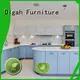 Digah easy to clean wall cabinet for kitchen 1