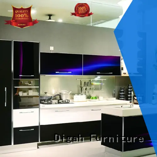 Digah professional modern kitchen cabinets for kitchen 1