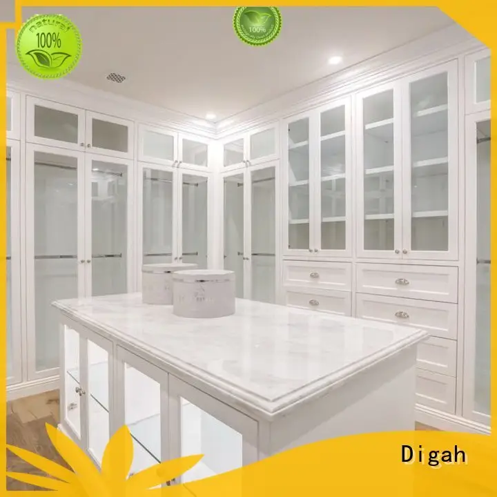Digah closet cabinets dropshipping for house 1