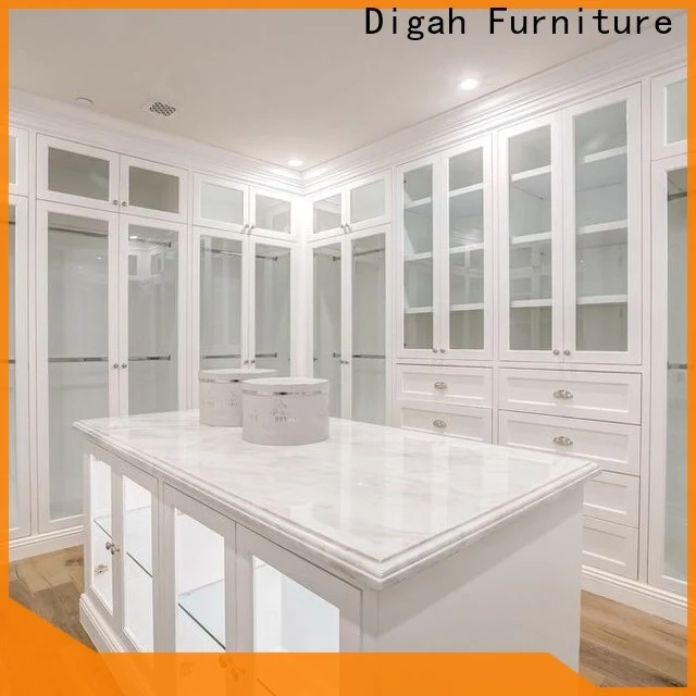 Digah luxury closet cabinets in china for decorating 1