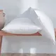 ELIYA Five Star Pillows for 5-star Hotel-2 3