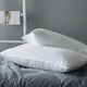 ELIYA Five Star Pillows for 5-star Hotel-2 2