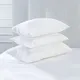 Quality ELIYA Brand ISO9001 Five Star Pillows 2
