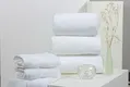 Hotel Style Hand Towels ELIYA Bulk Buy ELIYA ELIYA-4 2