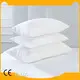 ELIYA ELIYA Brand Microfiber Pillows Factory 1