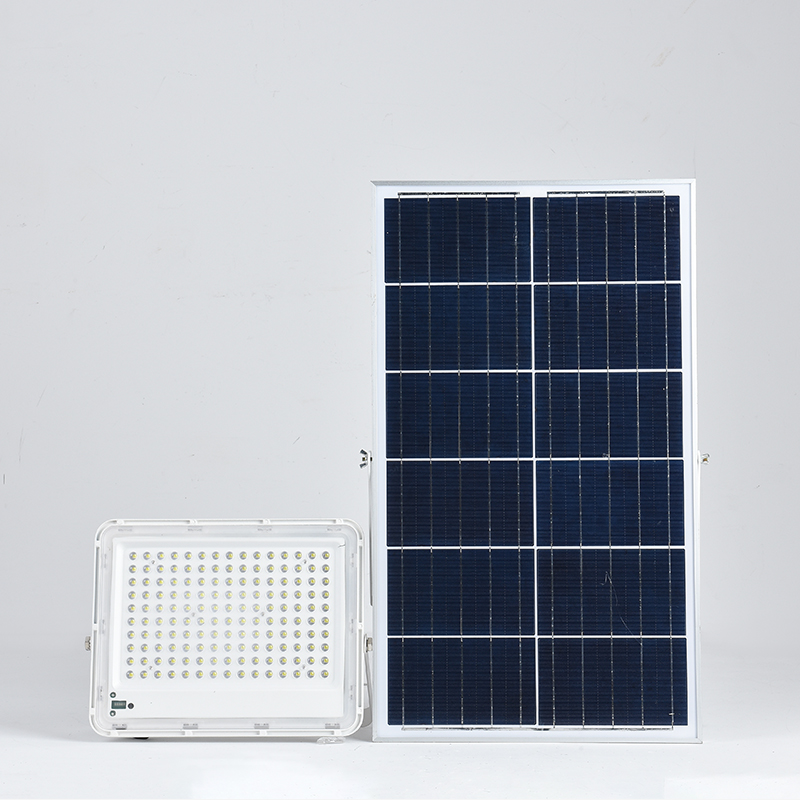IP66 большой белый объектив солнечная панель прожектор LS-F2105 8