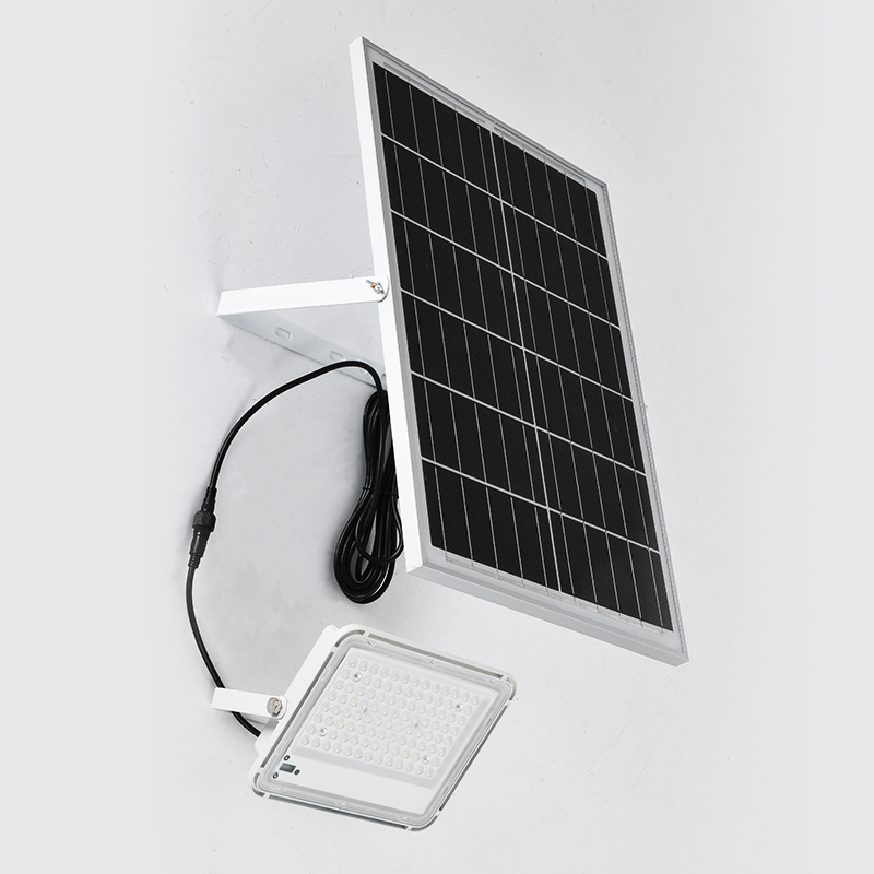 IP66 grande lentille blanche panneau solaire projecteurs LS-F2105 6