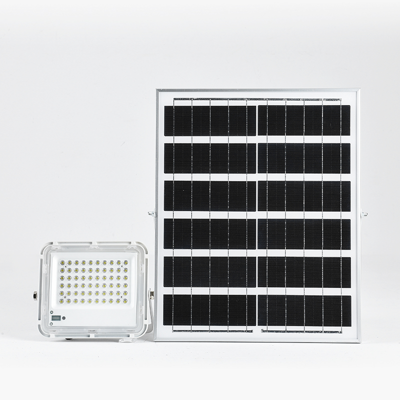 IP66 большой белый объектив солнечная панель прожектор LS-F2105 7