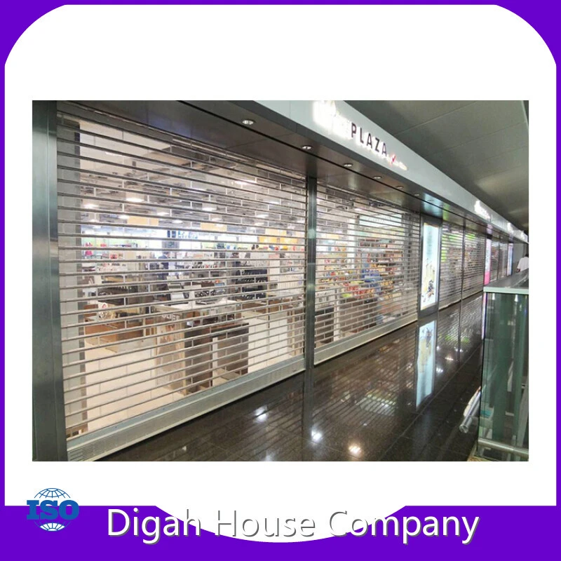 Cheap Price Roller Doors CutomTransparent or Frosted Polycarbonate Roller Shutter For Sale 1