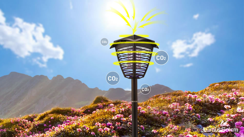 Lámpara solar asesina de mosquitos: todo lo que quieres saber 2