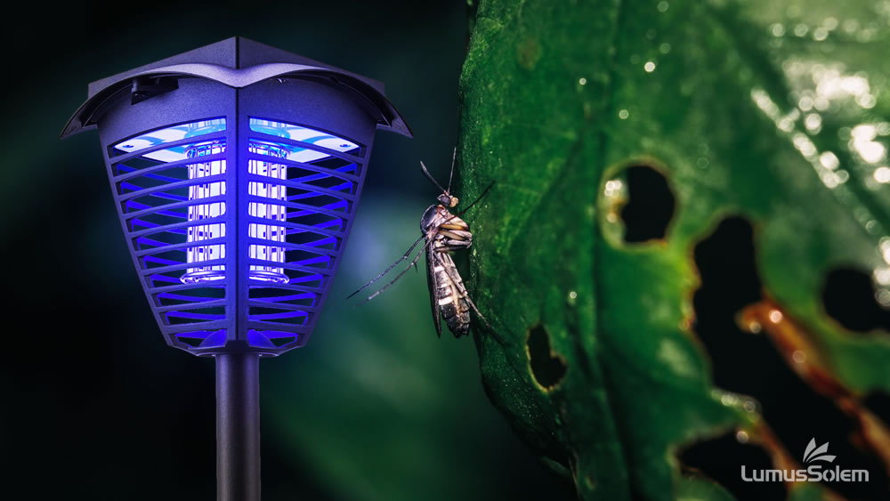 Lâmpada assassina de mosquito solar: tudo o que você quer saber 4