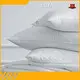 10000 Piece/Pieces Per Month Five Star Pillows 10000 Piece/Pieces Per Month ELIYA Brand 1