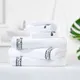 ELIYA Brand 100 Sets Room Towel ELIYA Factory 3