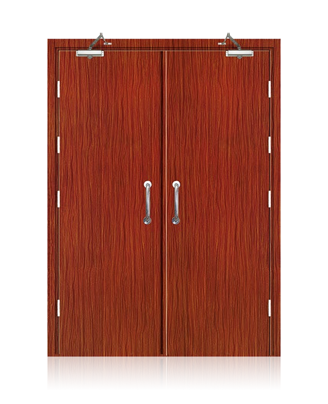 China top manufacturer high quality external steel security door design