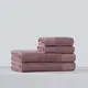ELIYA Brand 450-650gsm OEKO-TEX STANDARD 100 Hotel Towel Brand 2