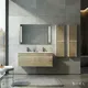 Bathroom Cabinets 2 Bulk Buy (48 Inch) 1200*460*495mm (include Basin) SHKL 2