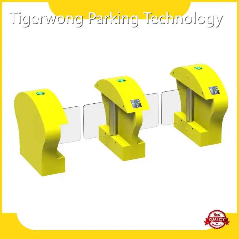 Soporte de soporte de puerta oscilante personalizado, soporte de compra a granel, estacionamiento Tigerwong 1
