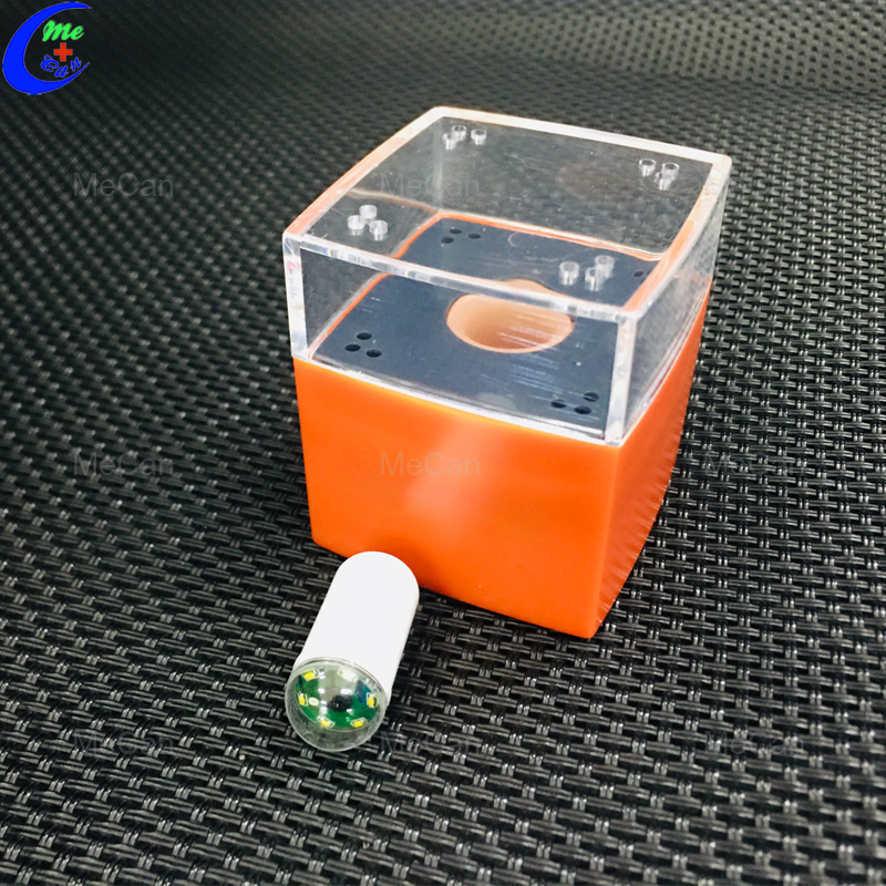 Capsule Endoscopy for Small Bowel Disease MeCan