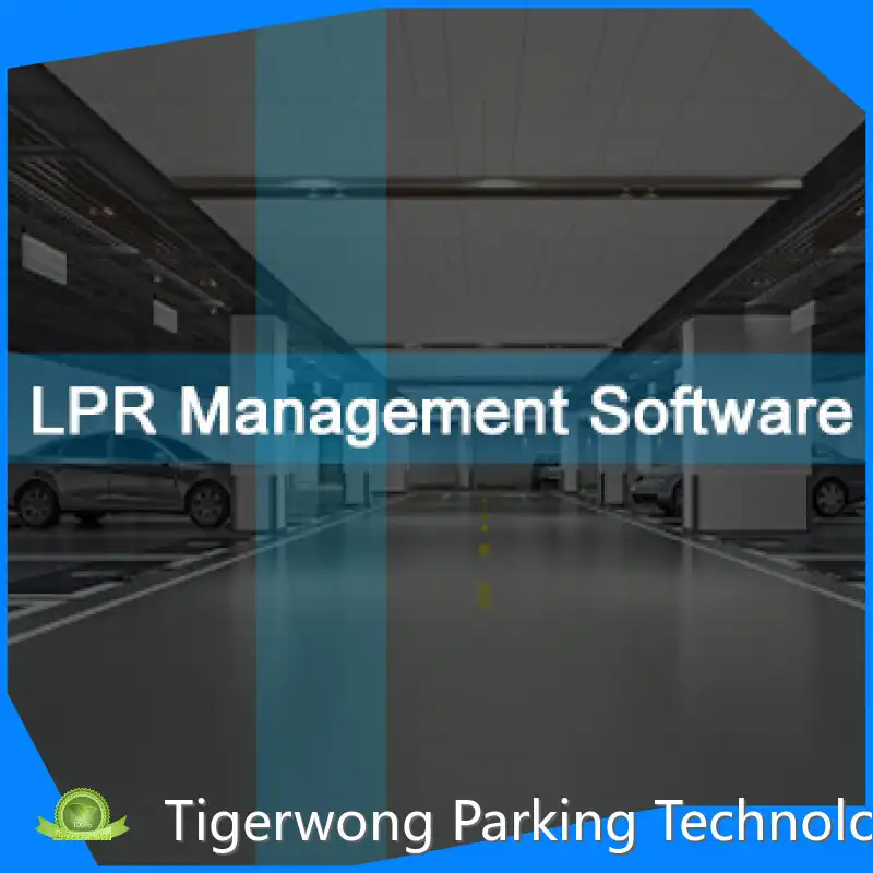 Ai Face Recognition and Temperature Measuring Devi Tigerwong Parking Manufacture 1