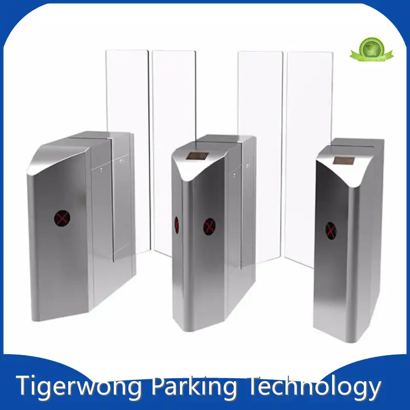 Termometro a scansione termica Tigerwong Parcheggio 1