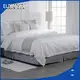 Hot ELIYA-ED-121008 Wholesale Hotel Sheets Hotel Home Hospital SPA School ELIYA Brand 1