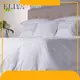 Customized Size 1-4.5 Kg European and American Style Wholesale Hotel Sheets ELIYA 1
