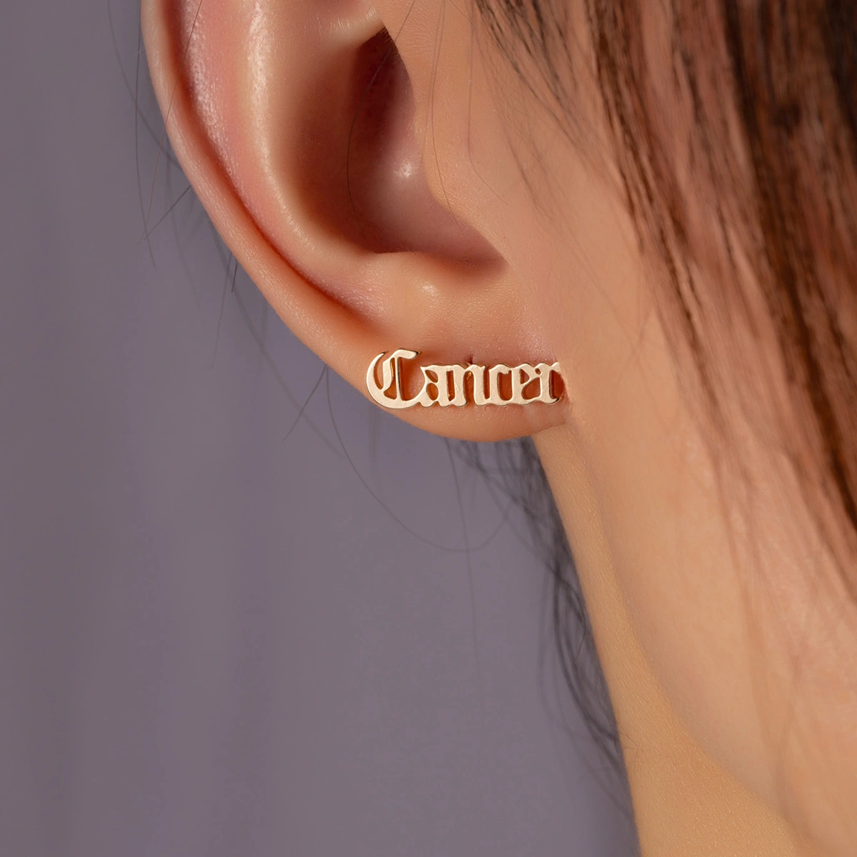 Hainon stainless steel 12 zodiac stud Earrings letter earring jewelry Birthday Gift for Women Teen Girls 1