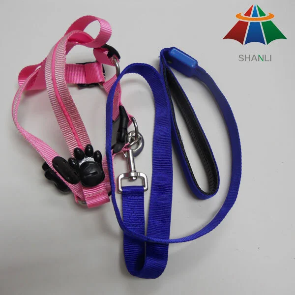 pet collar 1