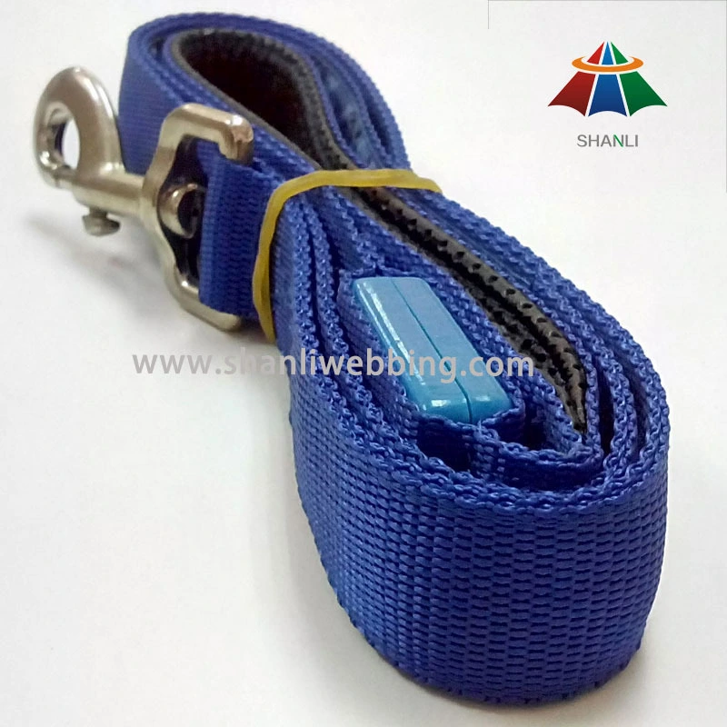 Blue Nylon Webbing Pet Leash, Leash for Dog 1