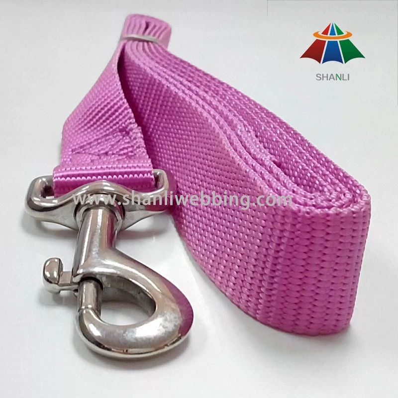Solid Color Purple Nylon Dog Leash 1