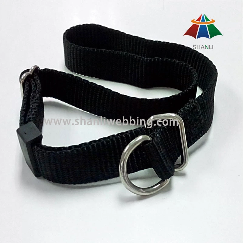 Black Nylon Dog Collar (with D-ring buckle) 1