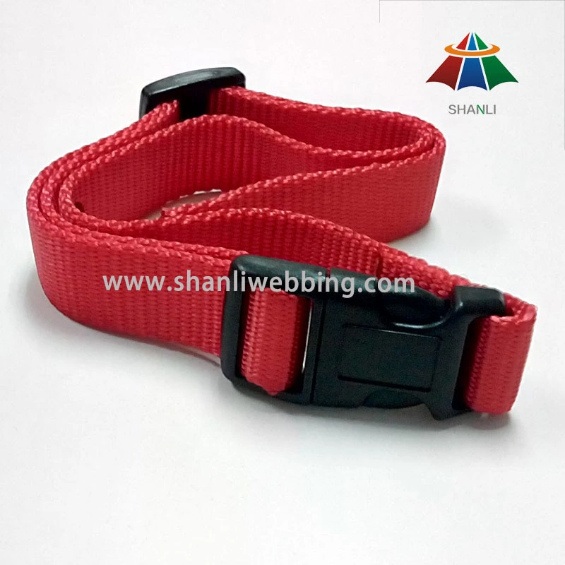 25mm Red Nylon Webbing Dog Collar 1