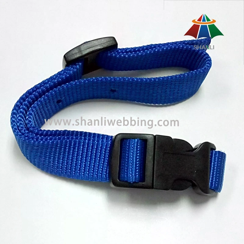 Blue Color Nylon Webbing Pet Products, Dog Collar 1