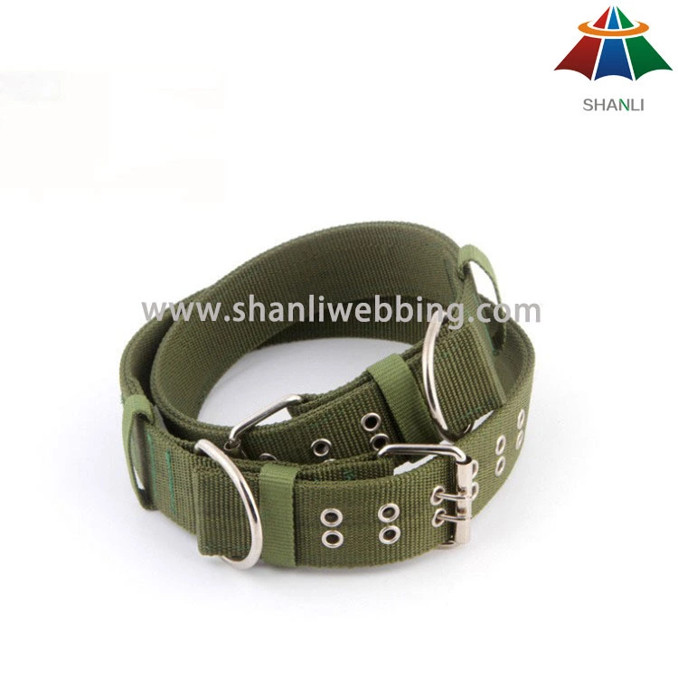 Personalized dog training collars 1