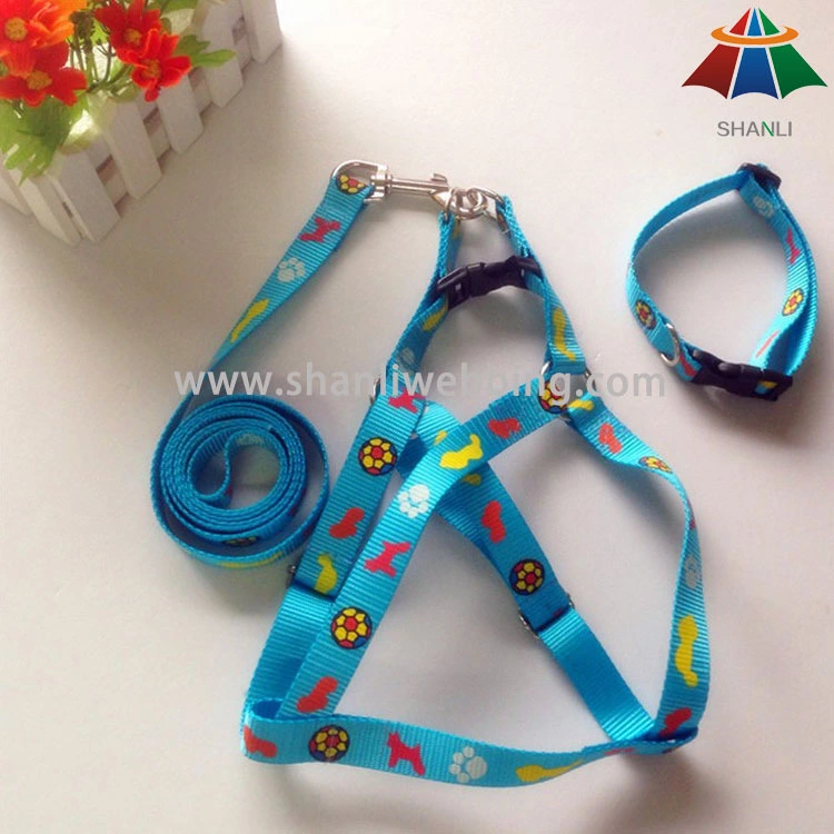 Patterned printed dog collar leash and harness 1