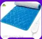 UTK Brand Ultra Soft Crystal Velvet Back Small Green Heat Packs Costco 1