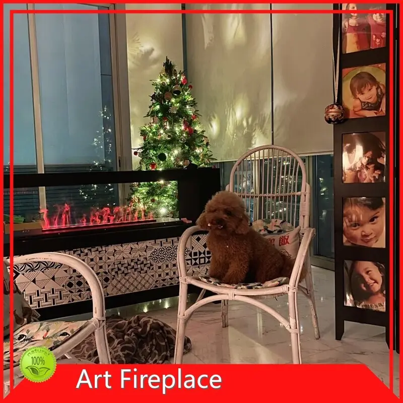 Caminetti a vapore acqueo Art Fireplace Company 1